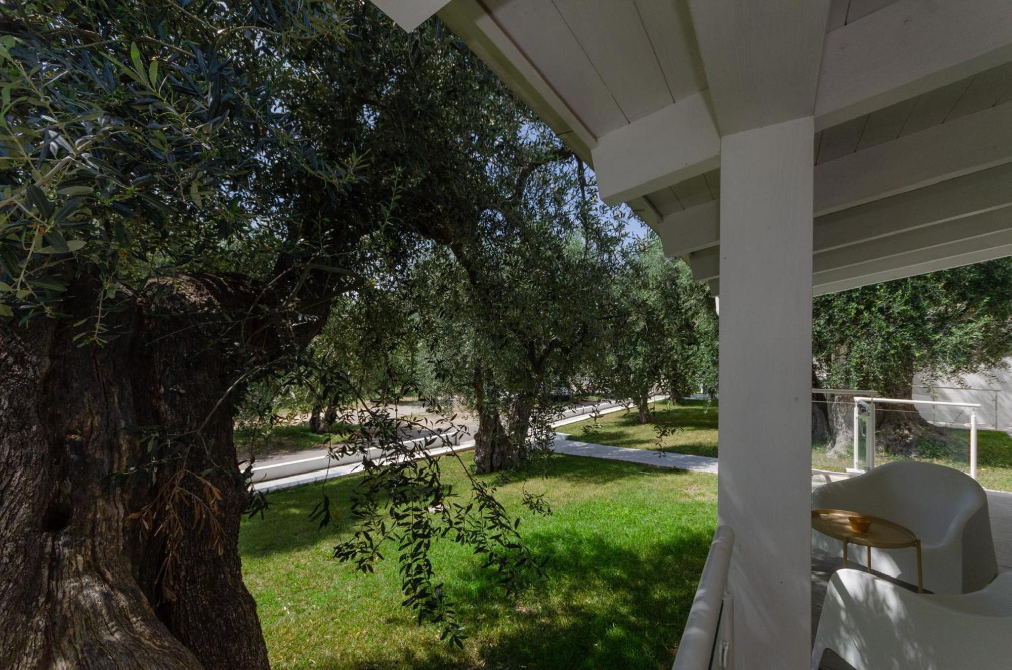 מאטינאטה Agriturismo Giorgio מראה חיצוני תמונה