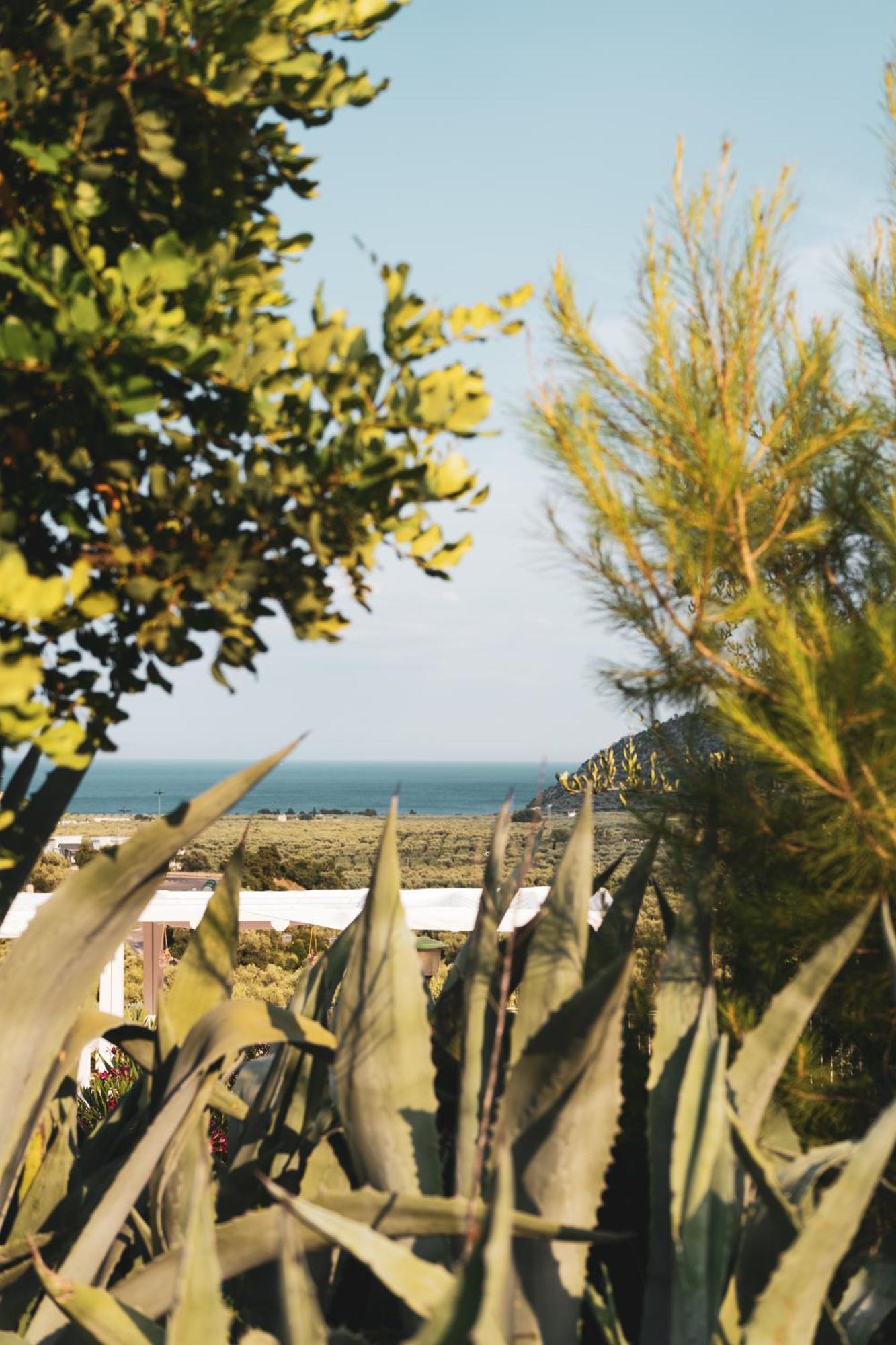 מאטינאטה Agriturismo Giorgio מראה חיצוני תמונה