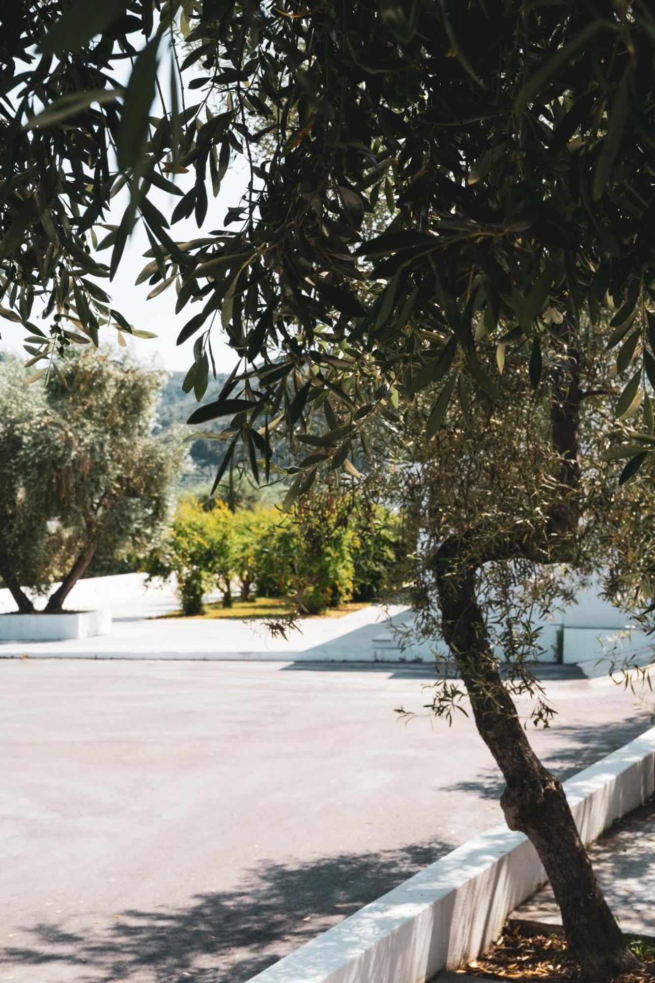 מאטינאטה Agriturismo Giorgio מראה חיצוני תמונה